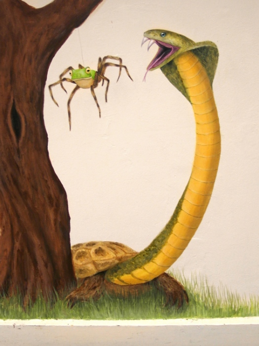 Kikkerspin en slangschildpad